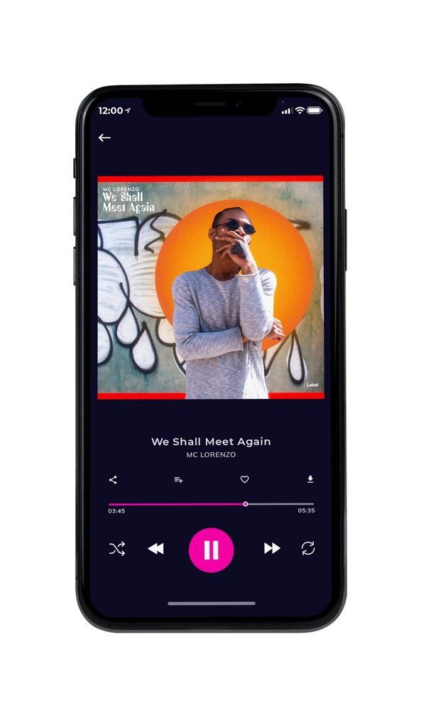 Tablet view of Premade Pop Album Cover - Zorba #2417 | AlbumArtZone*