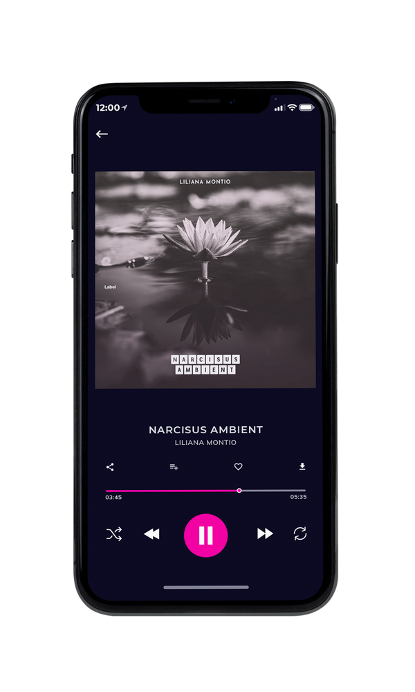 Tablet view of Premade Dance & House Album Cover - Tundora #2428 | AlbumArtZone*