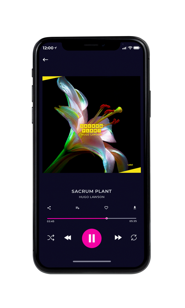 Tablet view of Premade Pop Album Cover - Mongoose #2434 | AlbumArtZone*