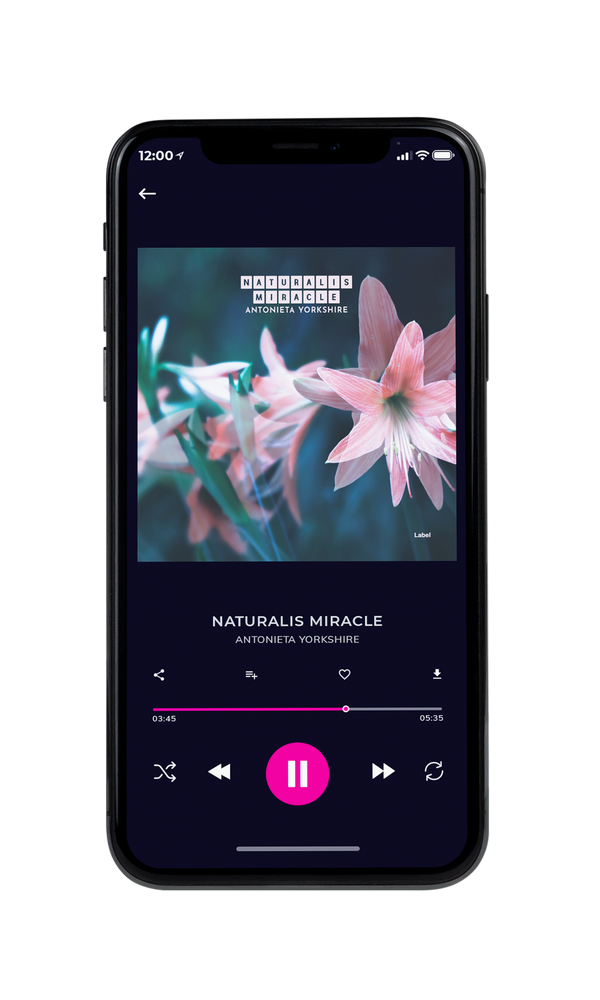 Tablet view of Premade Pop Album Cover - Cold Turkey #2436 | AlbumArtZone*