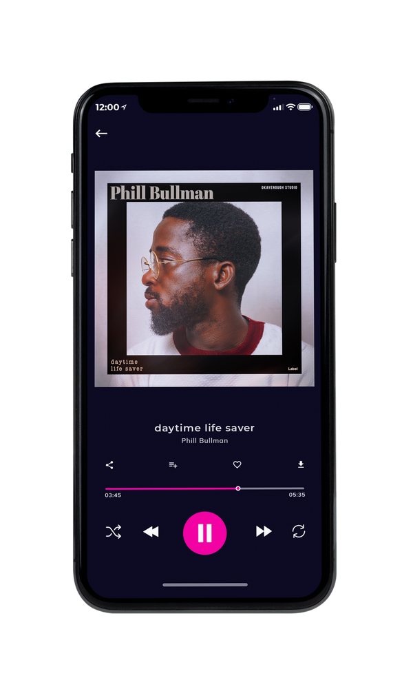 Tablet view of Premade Pop Album Cover - Cocoa Brown #2500 | AlbumArtZone*