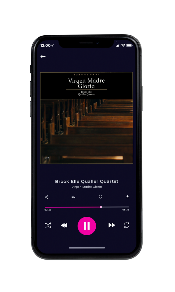 Tablet view of Premade Classical & Romantic Music Album Cover - Oil #2596 | AlbumArtZone*