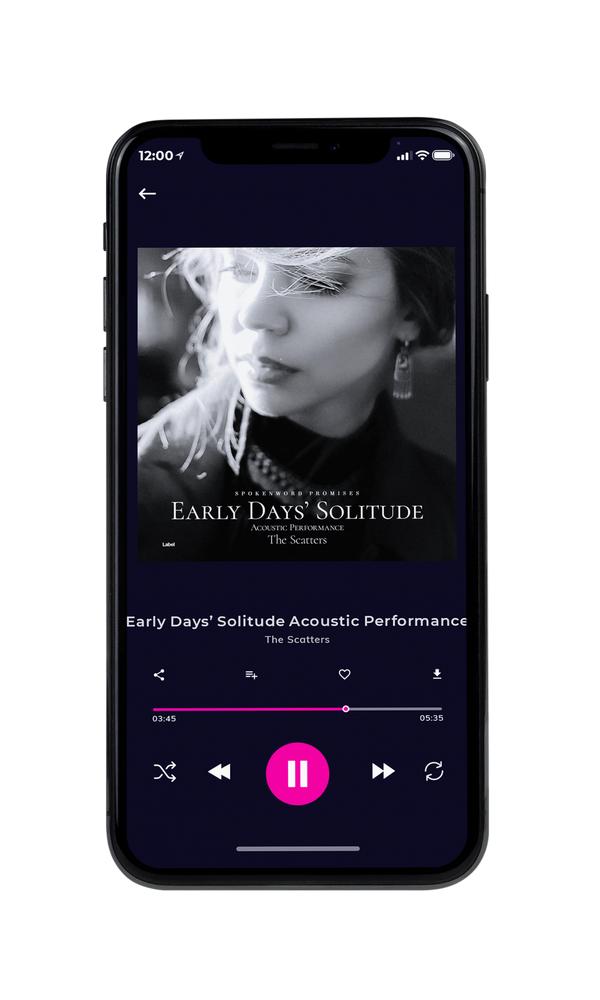 Tablet view of Premade Pop Album Cover - Silver #2704 | AlbumArtZone*