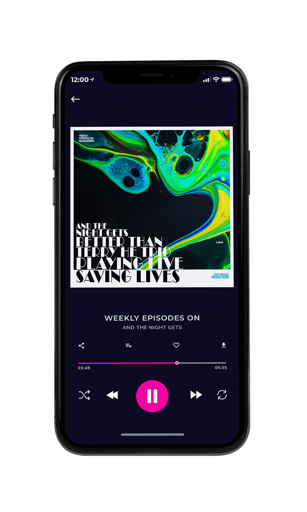 Tablet view of Premade Contemporary Music Album Cover - Aztec #2841 | AlbumArtZone*