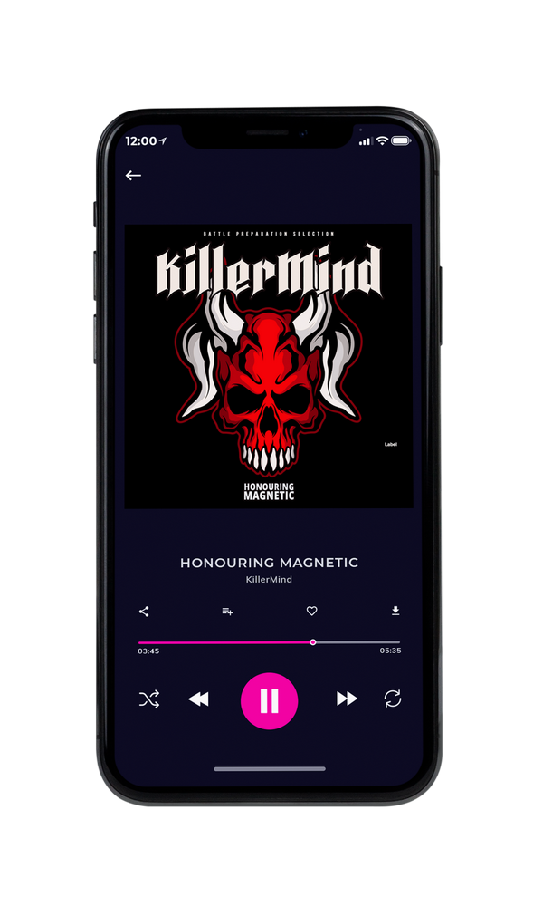 Tablet view of Premade Heavy Metal & Gothic Metal Album Cover - Night Rider #2873 | AlbumArtZone*