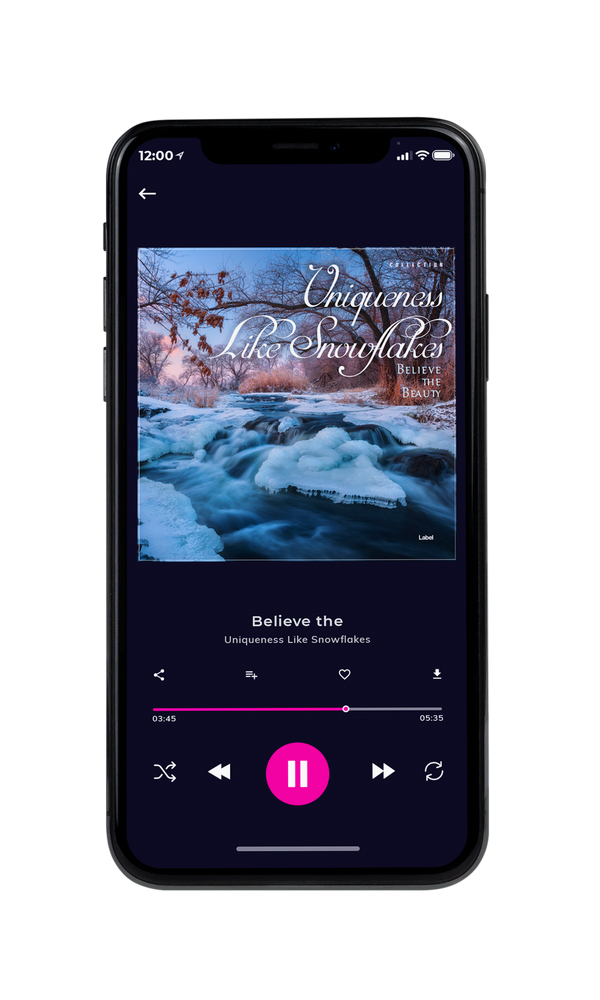 Tablet view of Premade Christmas Music Book Cover - Lynch #2981 | AlbumArtZone*