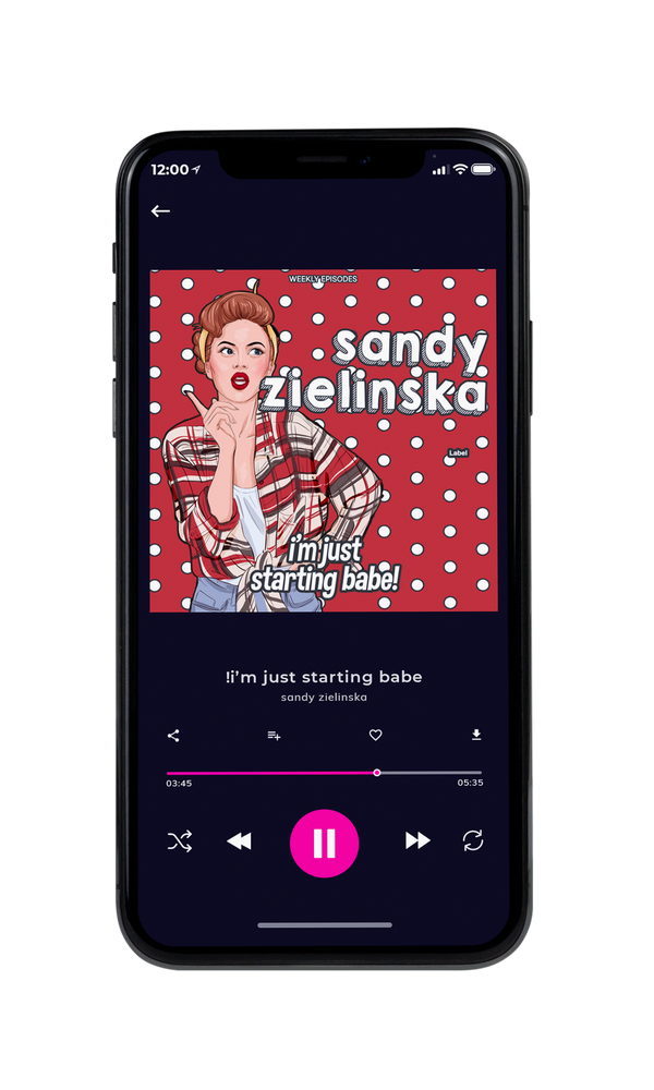 Tablet view of Premade Pop Album Cover - Chestnut #3000 | AlbumArtZone*