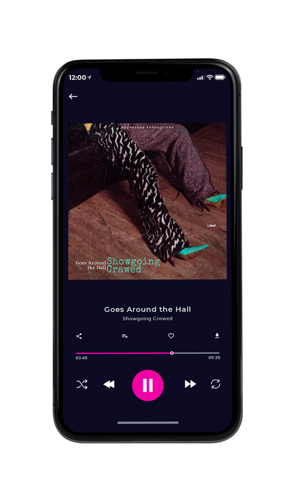 Tablet view of Premade Pop Album Cover - English Walnut #3033 | AlbumArtZone*