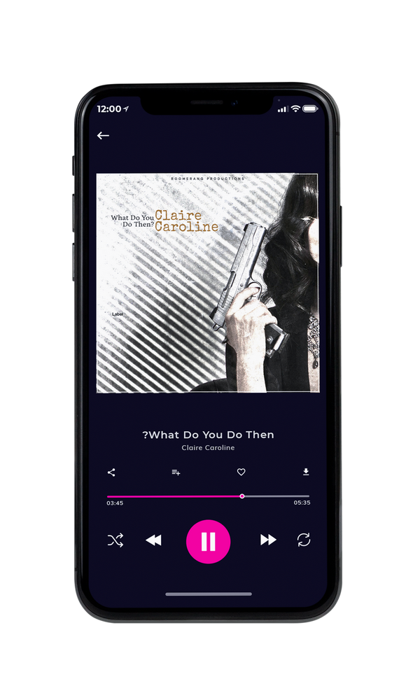 Tablet view of Premade Pop Album Cover - Tuatara #3041 | AlbumArtZone*