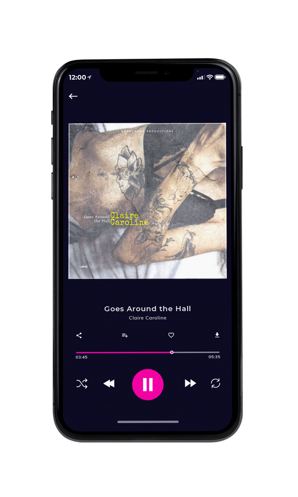 Tablet view of Premade Rock,Punk & Alternative Album Cover - Zorba #3042 | AlbumArtZone*