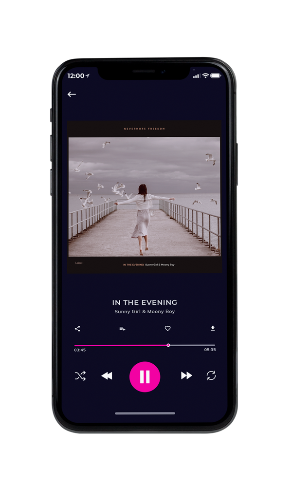 Tablet view of Premade Pop Album Cover - Dusty Gray #3084 | AlbumArtZone*