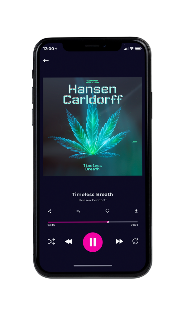 Tablet view of Premade Electronica & Ambient Book Cover - Limed Spruce #3187 | AlbumArtZone*