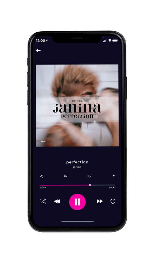 Tablet view of Premade Pop Album Cover - Silver Rust #3252 | AlbumArtZone*