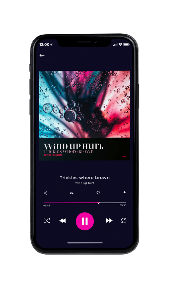 Tablet view of Premade Traditional Jazz & Blues Album Cover - Careys Pink #3266 | AlbumArtZone*