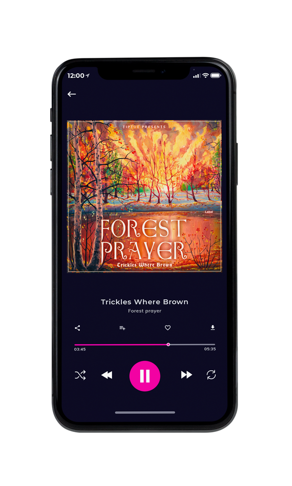 Tablet view of Premade Indie & Folk Music Album Cover - Santa Fe #3273 | AlbumArtZone*