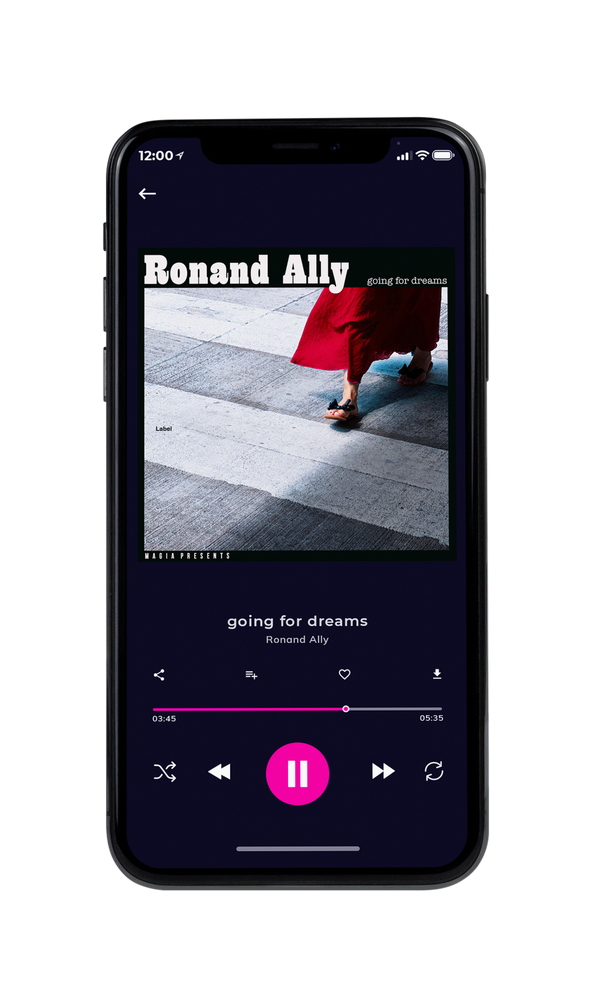 Tablet view of Premade Pop Album Cover - French Gray #3312 | AlbumArtZone*