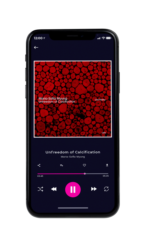 Tablet view of Premade Contemporary Music Album Cover - Red Berry #3328 | AlbumArtZone*
