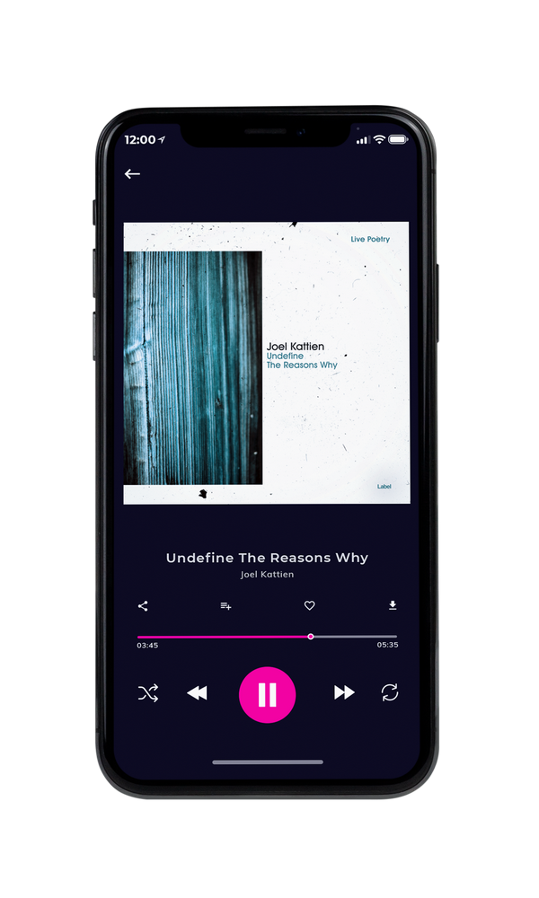 Tablet view of Premade Contemporary Music Album Cover - Limed Spruce #3334 | AlbumArtZone*