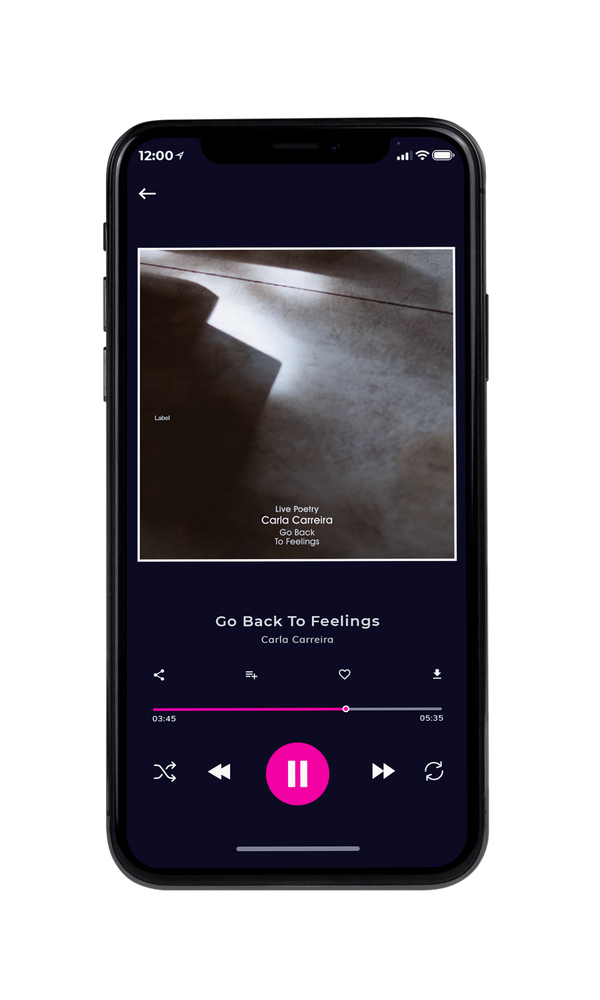 Tablet view of Premade Contemporary Music Album Cover - Merlin #3338 | AlbumArtZone*