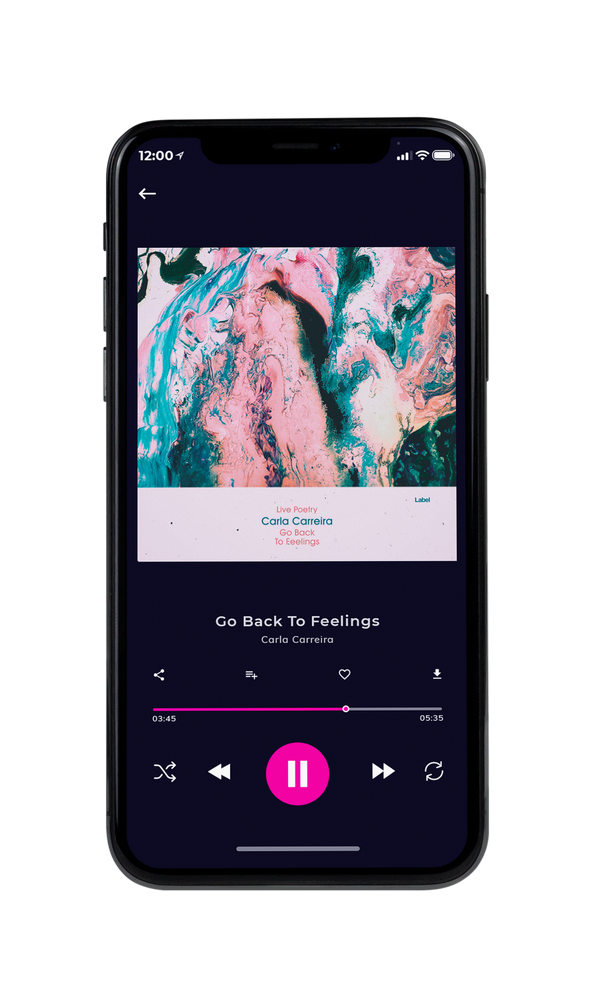 Tablet view of Premade Contemporary Music Album Cover - Casal #3344 | AlbumArtZone*