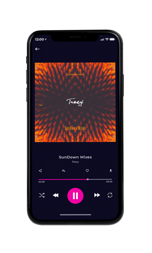 Tablet view of Premade Pop Album Cover - Woody Brown #3441 | AlbumArtZone*
