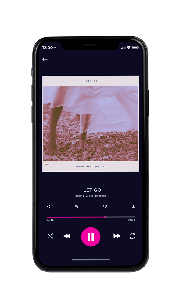 Tablet view of Premade Pop Album Cover - Lily #3542 | AlbumArtZone*