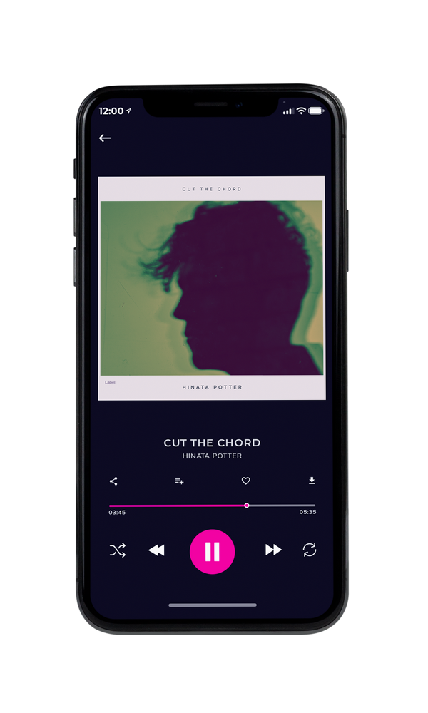 Tablet view of Premade Pop Album Cover - Highland #3554 | AlbumArtZone*
