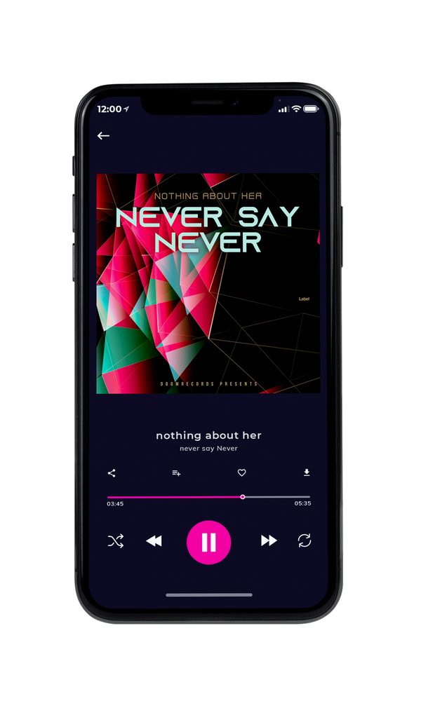 Tablet view of Premade EDM, House & Dub Album Cover - Night Rider #3588 | AlbumArtZone*