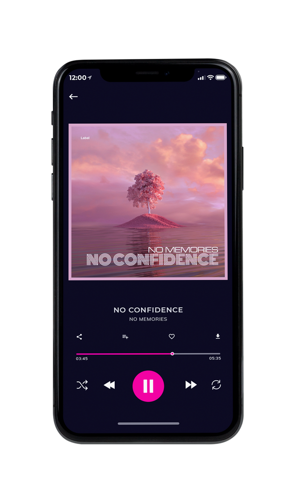 Tablet view of Premade Pop Album Cover - Brandy Rose #3603 | AlbumArtZone*