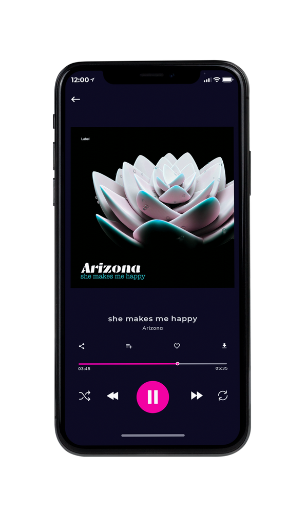 Tablet view of Premade Pop Album Cover - Heavy Metal #3745 | AlbumArtZone*