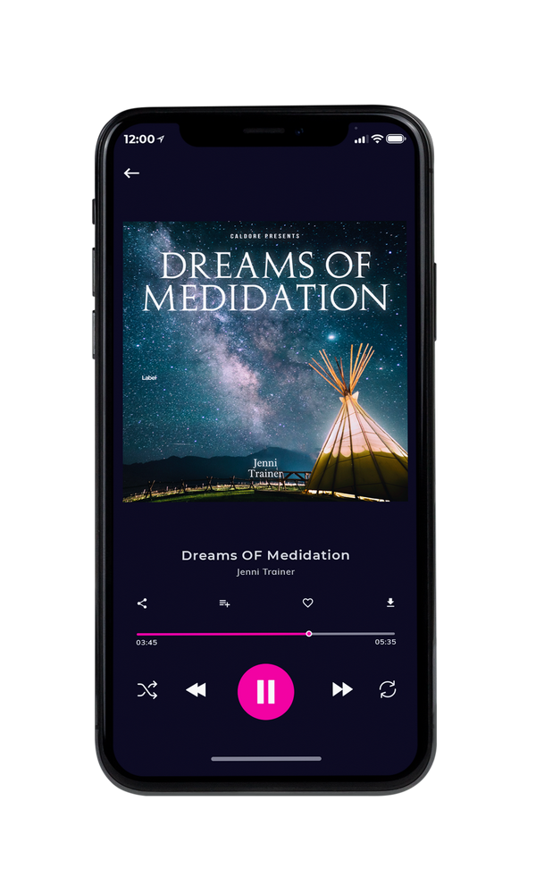 Tablet view of Premade Classical & Romantic Music Book Cover - Pickled Bluewood #3811 | AlbumArtZone*