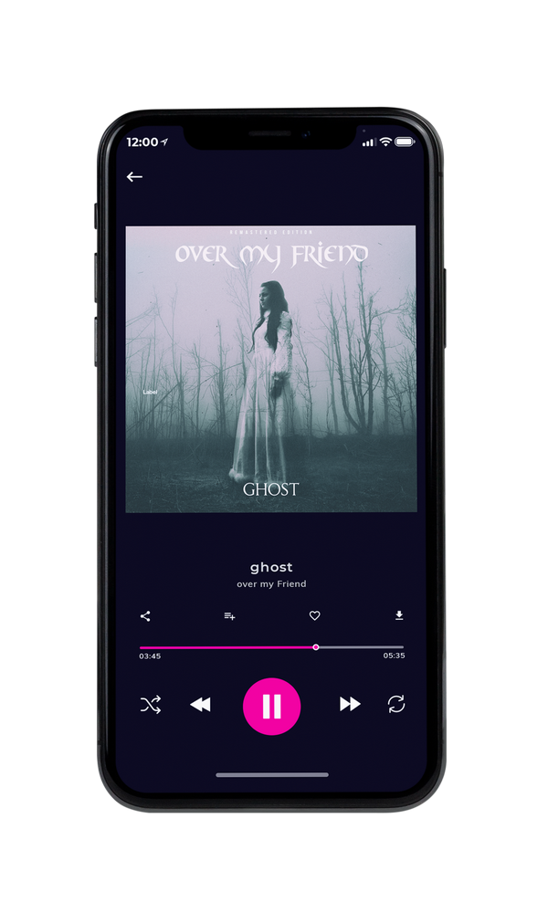 Tablet view of Premade Heavy Metal & Gothic Metal Album Cover - French Gray #3930 | AlbumArtZone*