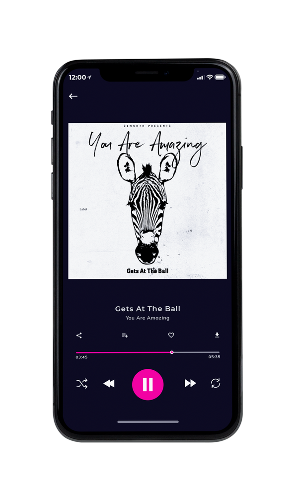 Tablet view of Premade Pop Album Cover - Cod Gray #3987 | AlbumArtZone*