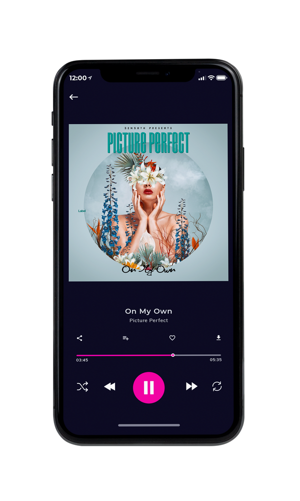 Tablet view of Premade Pop Album Cover - Pumice #3990 | AlbumArtZone*