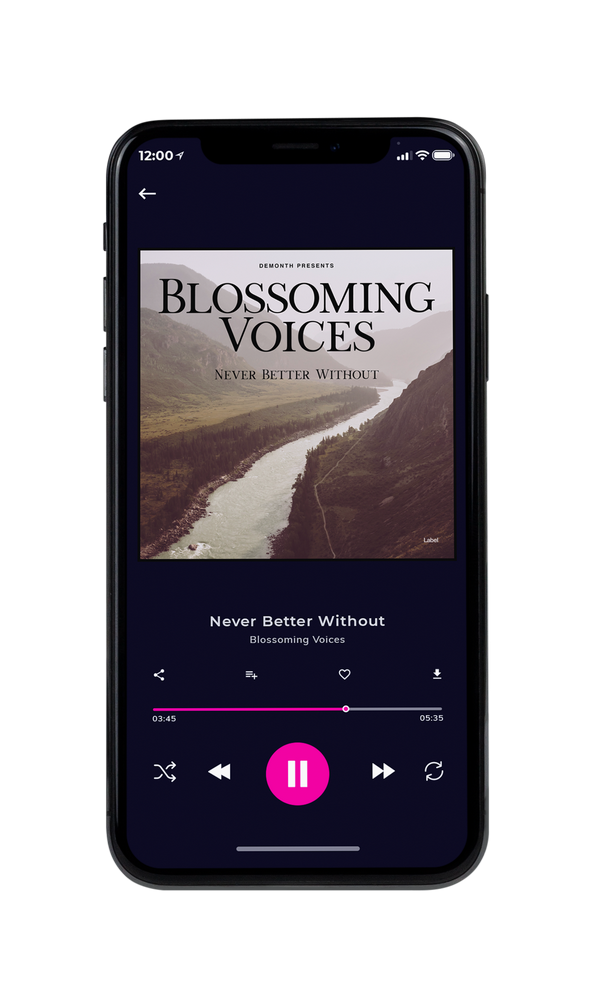 Tablet view of Premade Indie & Folk Music Album Cover - Silk #4049 | AlbumArtZone*