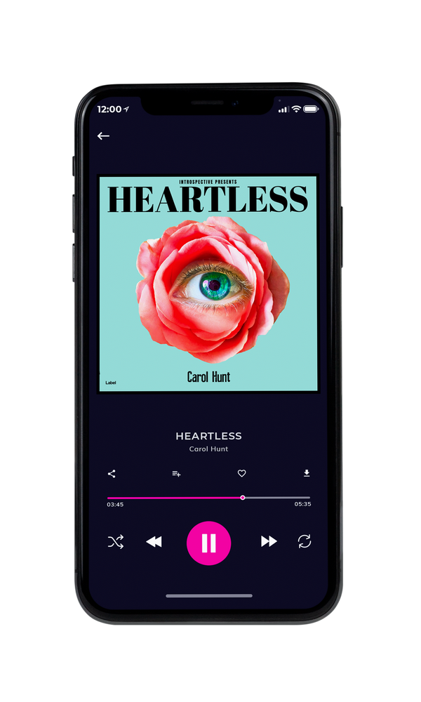 Tablet view of Premade Pop Album Cover - Jet Stream #4081 | AlbumArtZone*