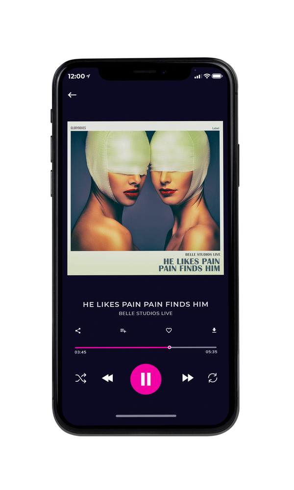 Tablet view of Premade Pop Album Cover - Limed Spruce #4104 | AlbumArtZone*
