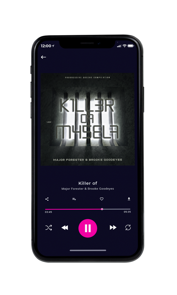 Tablet view of Premade Hip-hop, Rap & Trap Book Cover - Heavy Metal #4254 | AlbumArtZone*