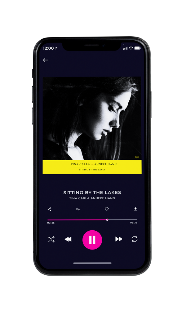 Tablet view of Premade Pop Album Cover - Cod Gray #4257 | AlbumArtZone*