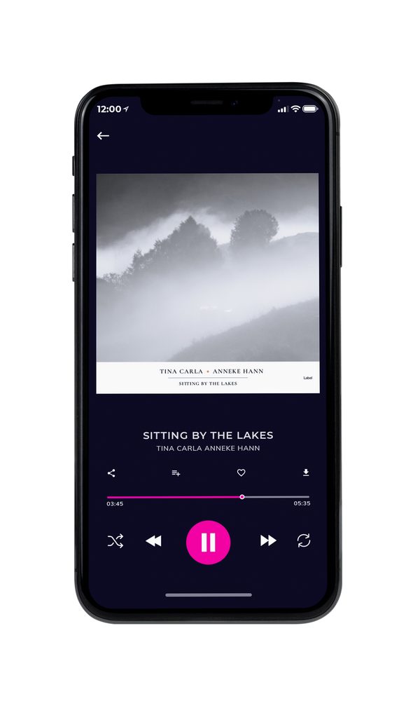 Tablet view of Premade Pop Album Cover - Silver #4258 | AlbumArtZone*