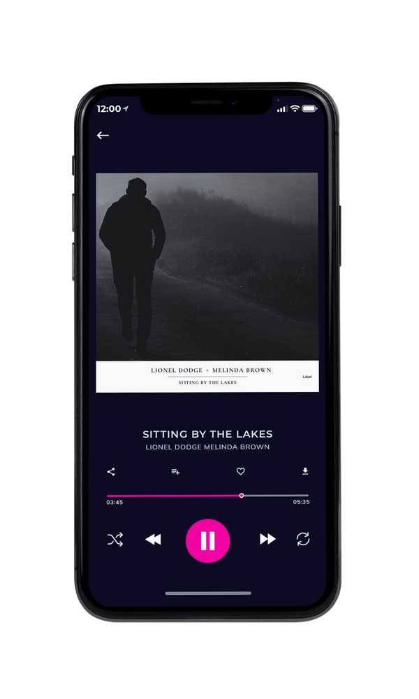Tablet view of Premade Pop Album Cover - Mine Shaft #4259 | AlbumArtZone*