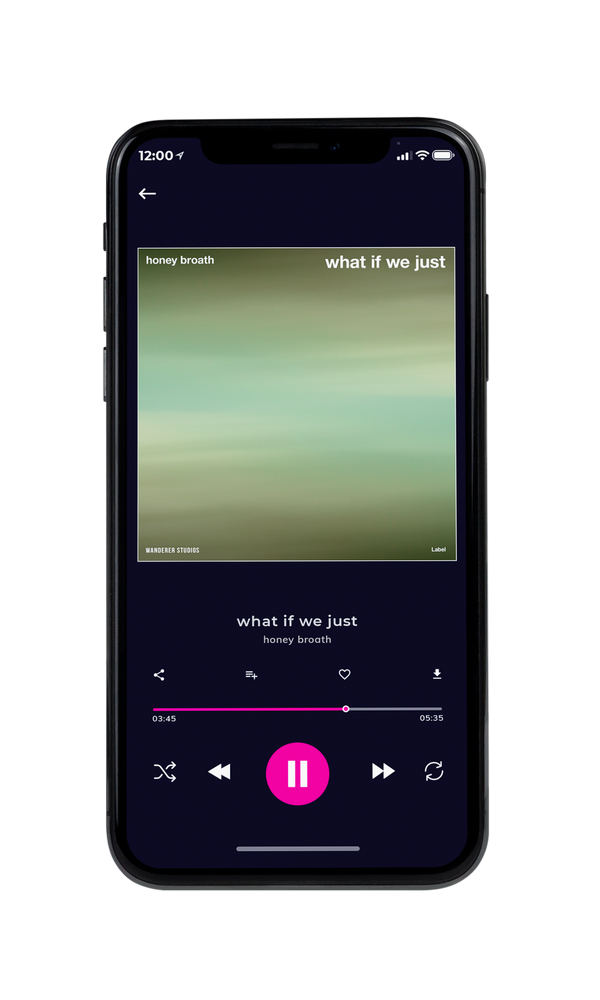 Tablet view of Premade EDM, House & Dub Album Cover - Swamp Green #4332 | AlbumArtZone*
