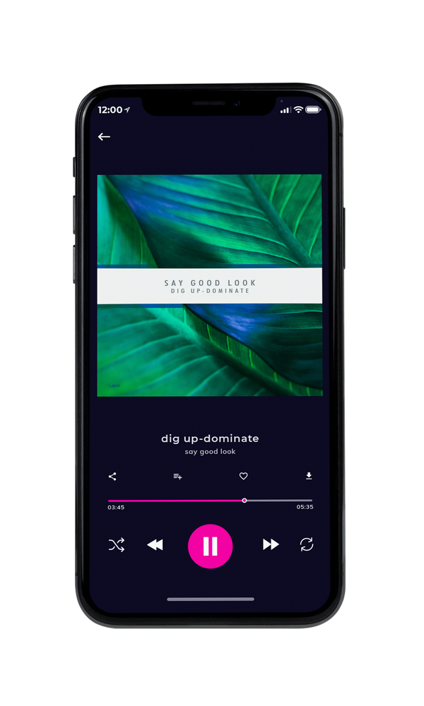 Tablet view of Premade Contemporary Music Album Cover - Deep Sea Green #4441 | AlbumArtZone*