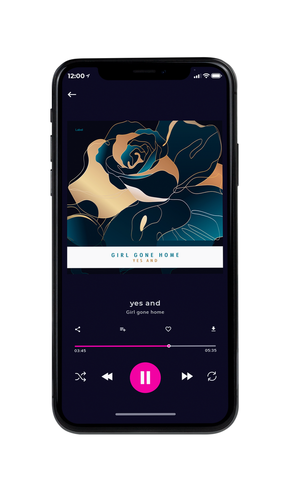 Tablet view of Premade Classical & Romantic Music Album Cover - Straw #4444 | AlbumArtZone*