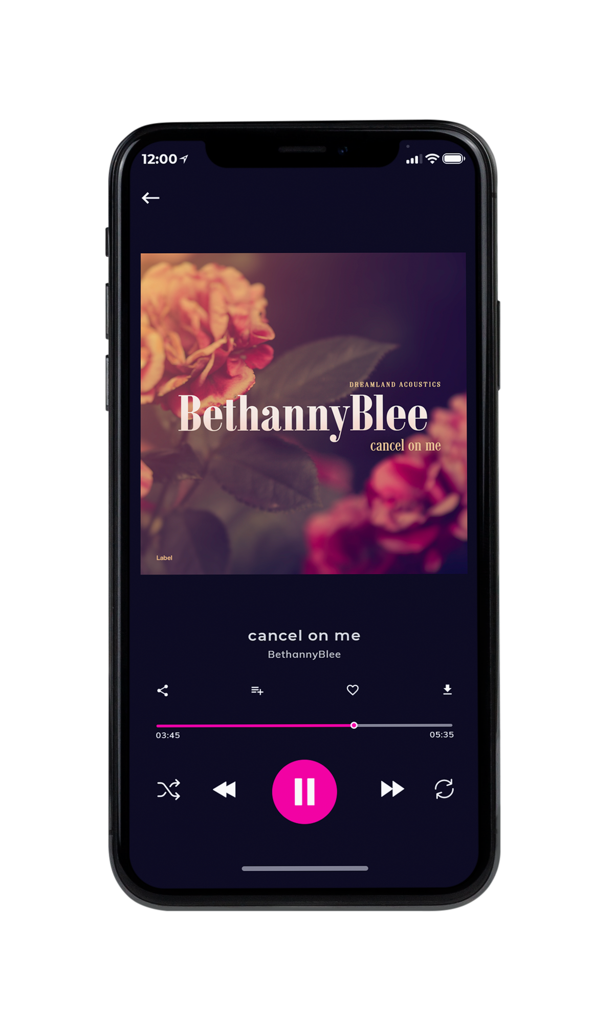 Tablet view of Premade Pop Album Cover - Livid Brown #4463 | AlbumArtZone*