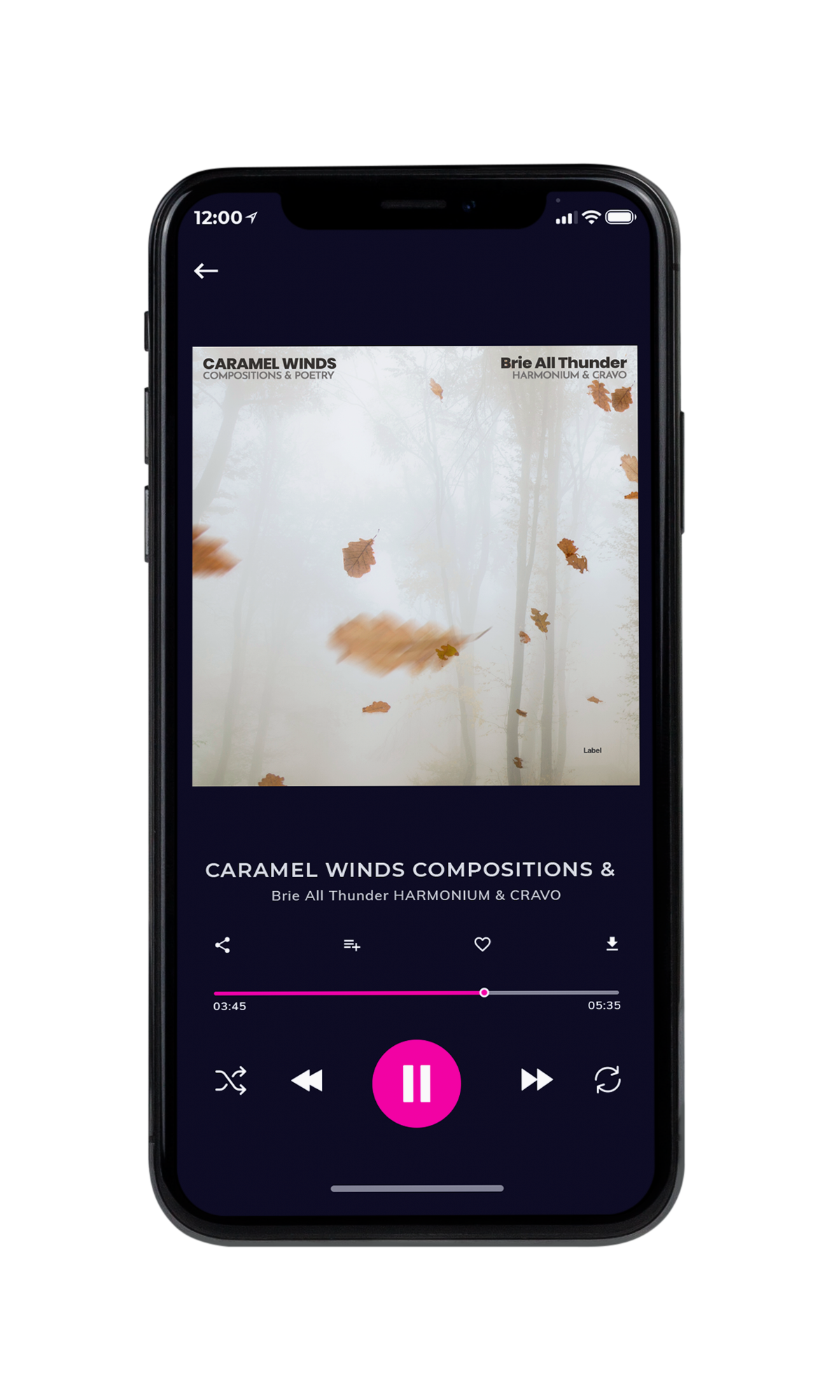 Tablet view of Premade Country & Acoustic Album Cover - Timberwolf #4520 | AlbumArtZone*