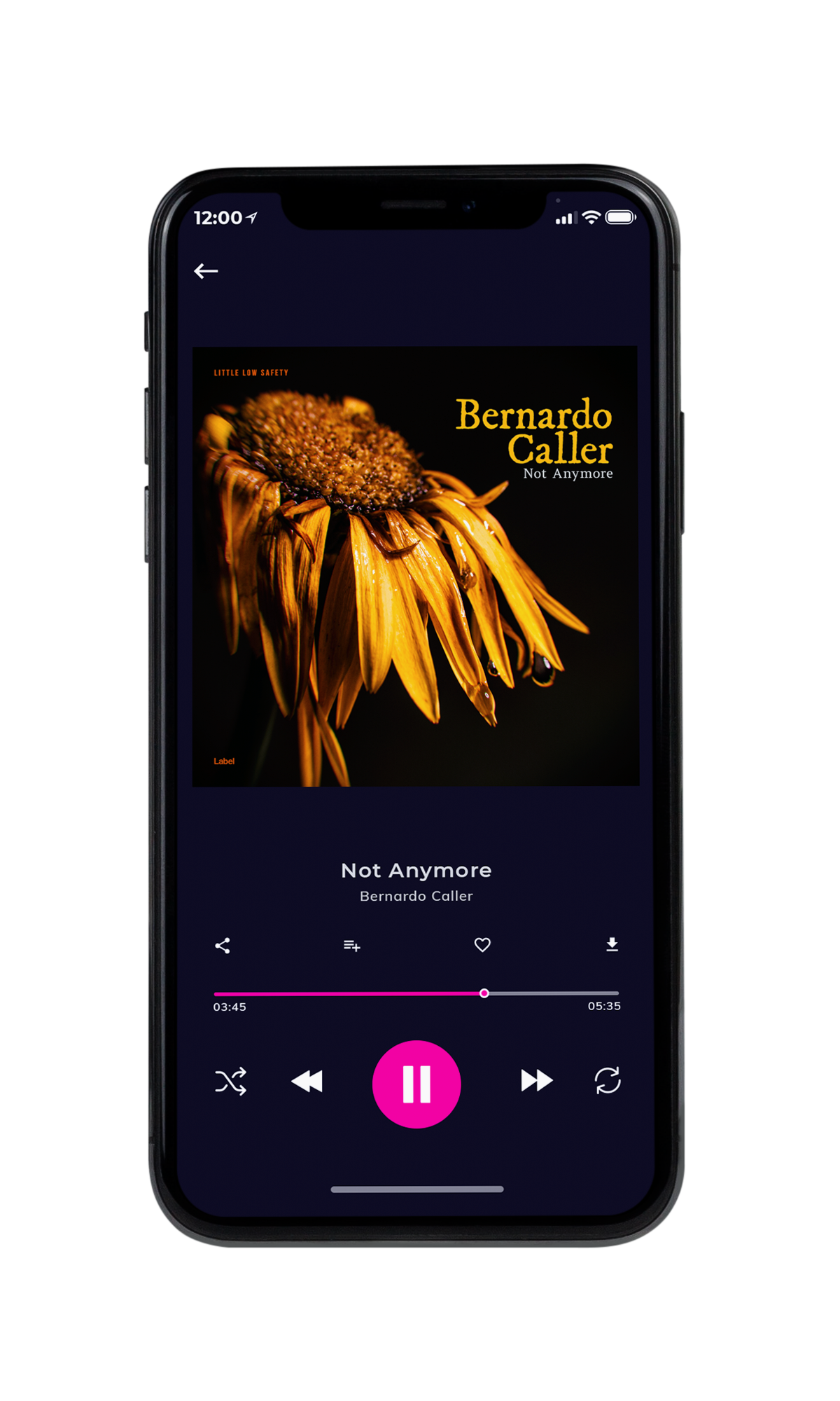 Tablet view of Premade Pop Album Cover - Graphite #4669 | AlbumArtZone*