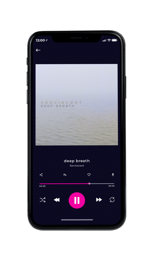 Tablet view of Premade Pop Album Cover - French Gray #4785 | AlbumArtZone*