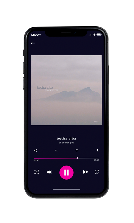 Tablet view of Premade Pop Album Cover - Silk #4800 | AlbumArtZone*