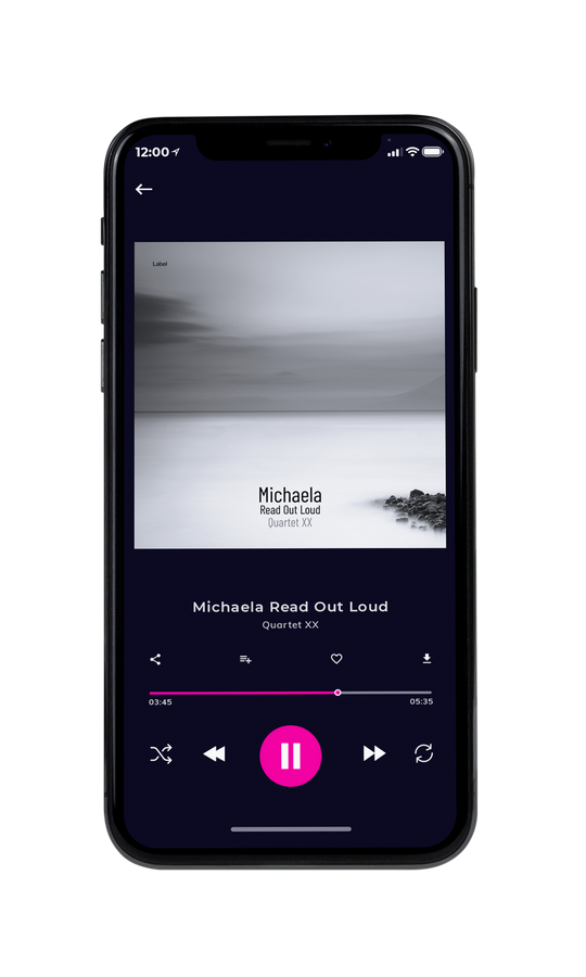 Tablet view of Premade Pop Album Cover - Silver #4870 | AlbumArtZone*